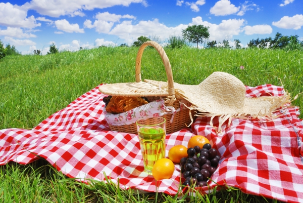 Verwonderlijk Wat neem je mee voor een geslaagde picknick? – Op stap trips AM-95